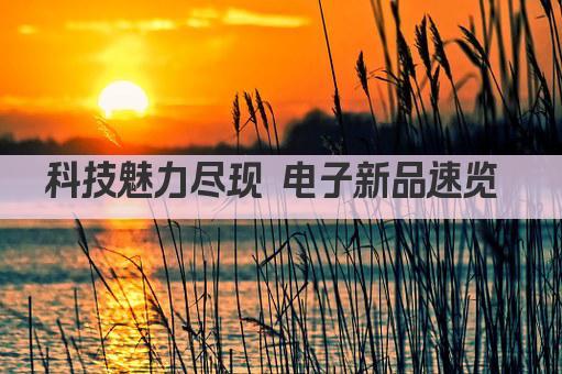 科技魅力尽现 电子新品速览 