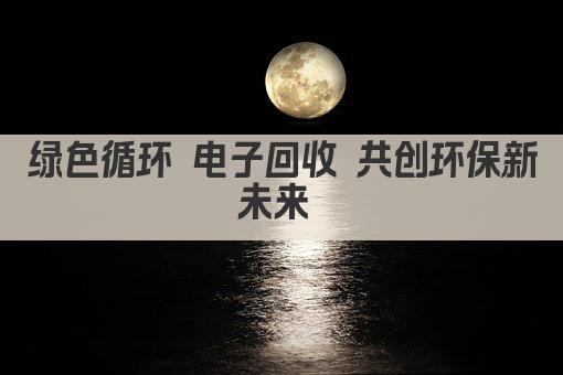 绿色循环 电子回收 共创环保新未来 