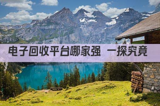 电子回收平台哪家强 一探究竟 