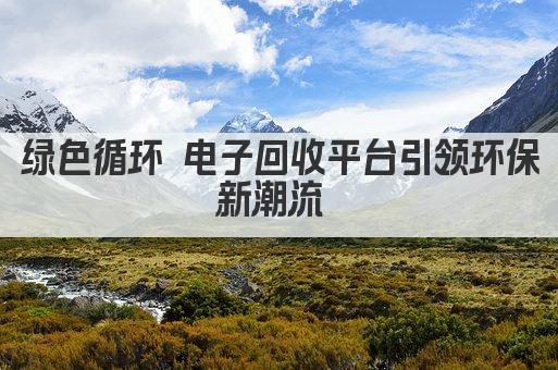 绿色循环 电子回收平台引领环保新潮流 