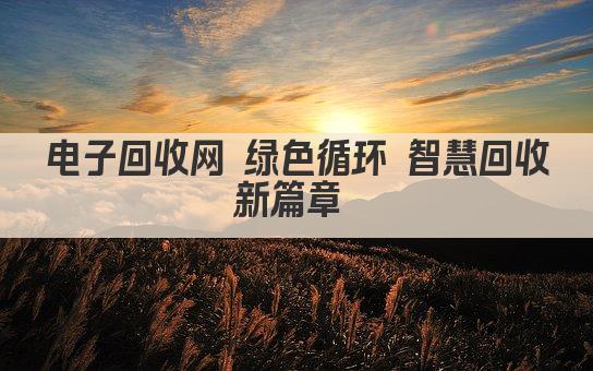 电子回收网 绿色循环 智慧回收新篇章 