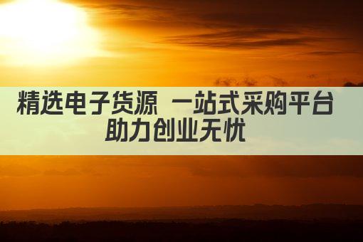 精选电子货源 一站式采购新选择 