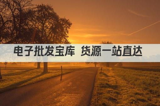 电子批发宝库 货源一站直达 