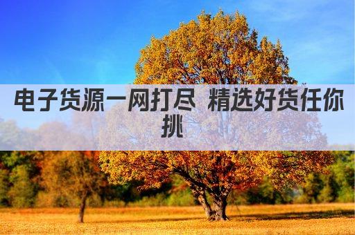 电子货源一网打尽 优质配件轻松购 