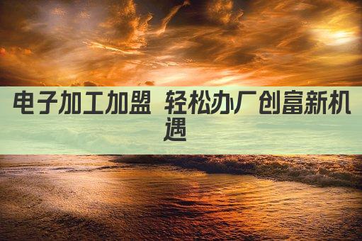 电子加工加盟 轻松办厂创富新机遇 