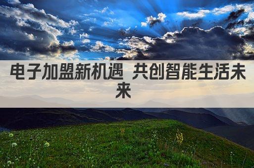 电子加盟新机遇 共创智能生活未来 