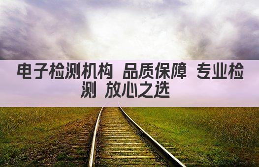 电子检测机构 品质保障 专业检测 放心之选 
