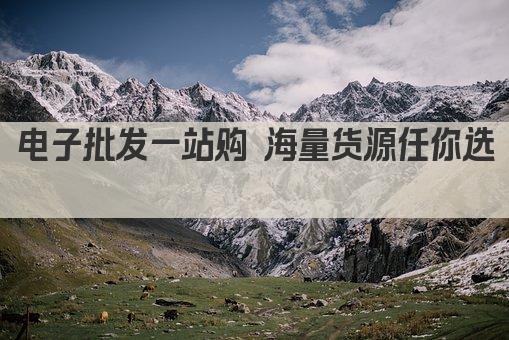 电子批发一站购 海量货源任你选 