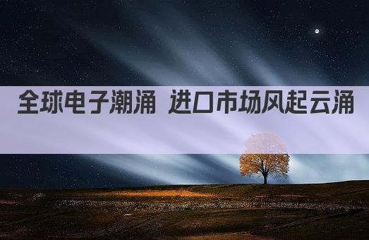 全球电子潮涌 进口市场风起云涌 