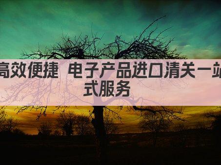 高效便捷 电子产品进口清关一站式服务 