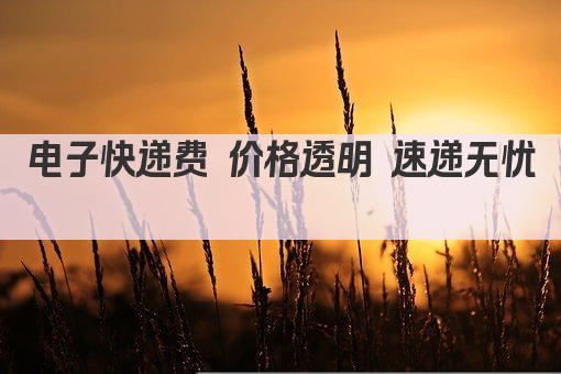 电子快递费 价格透明 速递无忧 