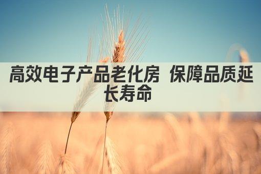 高效电子产品老化房 保障品质延长寿命 