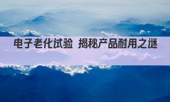 电子老化试验 揭秘产品耐用性秘密 