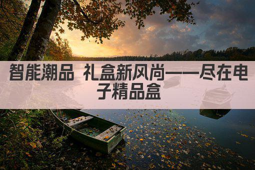 智能潮品 礼盒新风尚——尽在电子精品盒