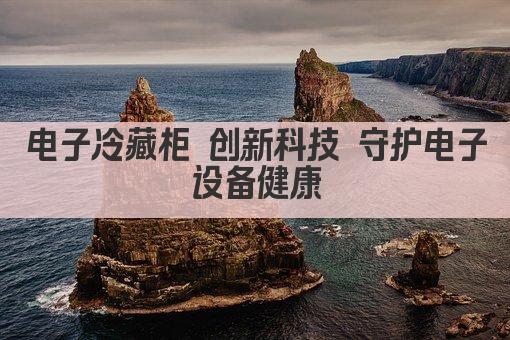 冷藏柜内 电子产品保鲜新体验 