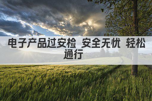 电子产品过安检 安全无忧 轻松通行 