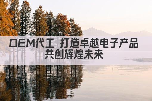 OEM代工 打造卓越电子产品 共创辉煌未来 