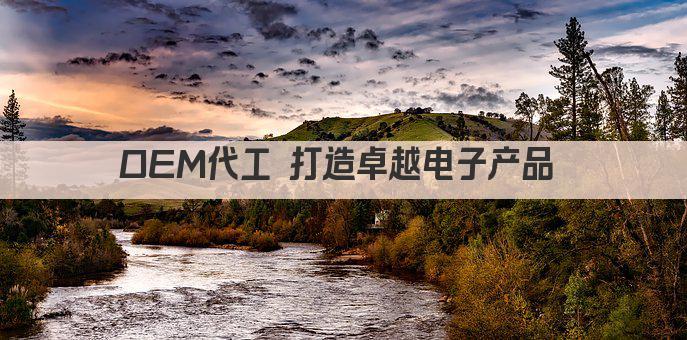 OEM代工 打造电子精品 共创辉煌未来 