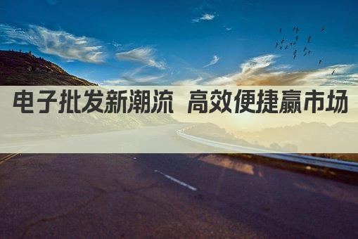 电子批发新潮流 品质低价一网打尽 