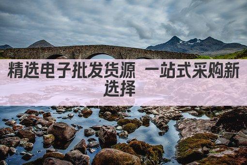 精选电子批发货源 一站式采购新选择 