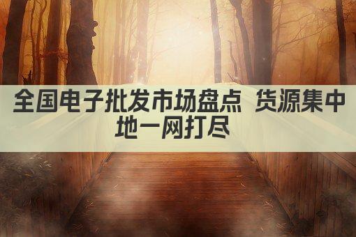 全国电子批发市场盘点 货源集中地一网打尽 