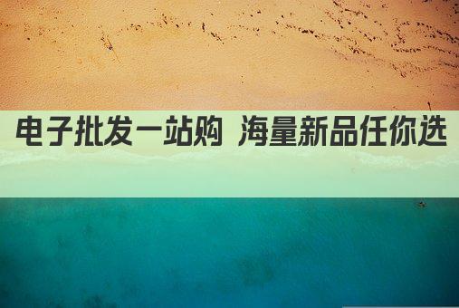 电子批发一站购 海量新品任你选 