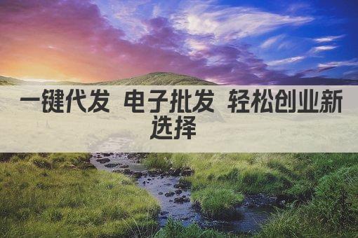一键代发 电子批发 轻松创业新选择 