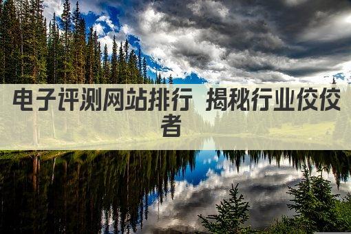 电子评测网站排行 揭秘行业佼佼者 