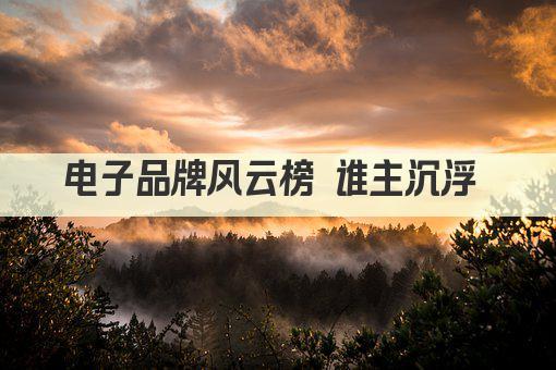 电子品牌风云榜 谁主沉浮 