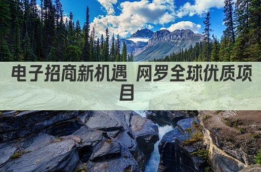 电子招商新机遇 网罗全球优质项目 