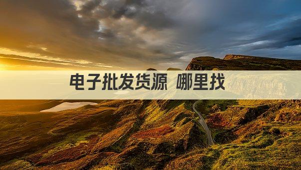 电子批发货源 哪里找 