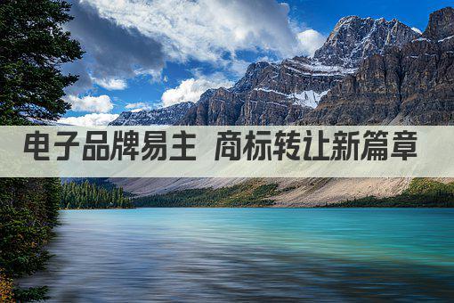 电子品牌易主 商标转让新篇章 