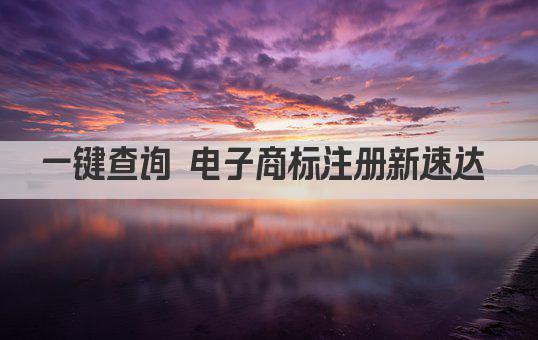 一键查询 电子商标注册新速达 