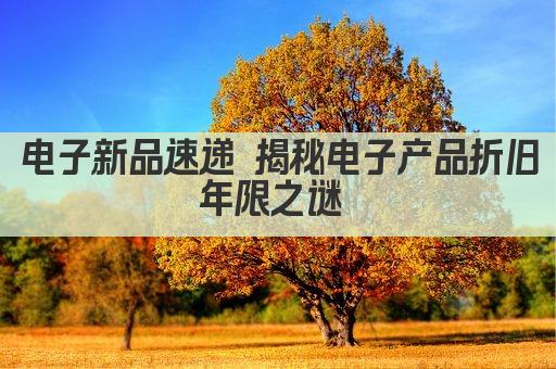 电子新品速递 揭秘电子产品折旧年限之谜 