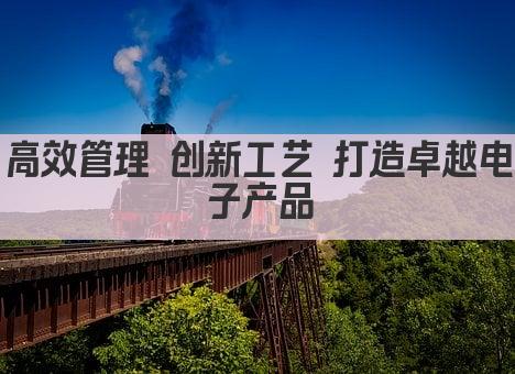 高效管理 创新工艺 打造卓越电子产品