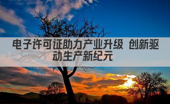 电子许可证助力产业升级 创新驱动生产新纪元 