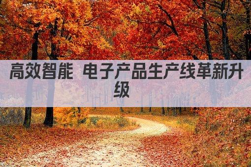 高效智能 电子产品生产线革新升级 