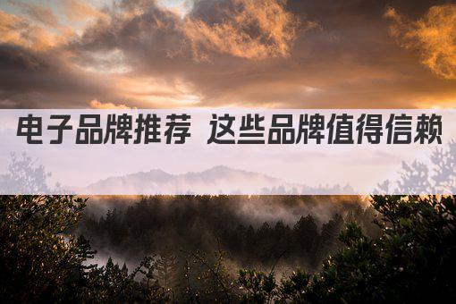 电子品牌推荐 这些品牌值得信赖  