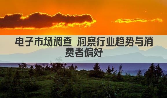 电子市场调查 洞察行业趋势与消费者偏好