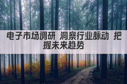 电子市场调研 洞察行业脉动 把握未来趋势