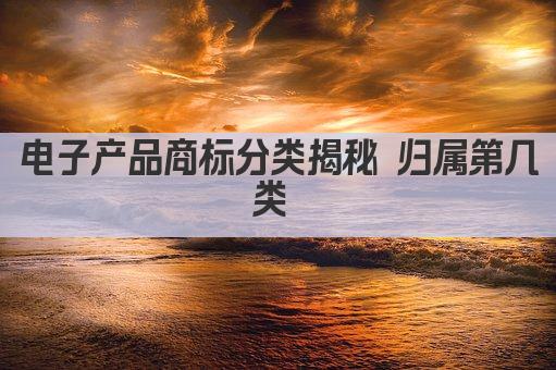 电子产品商标分类揭秘 归属第几类 