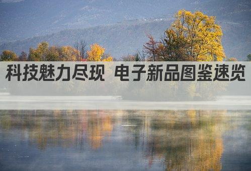 科技魅力尽现 电子新品图鉴速览 