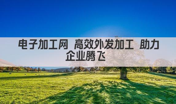电子加工网 高效外发加工 助力企业腾飞 