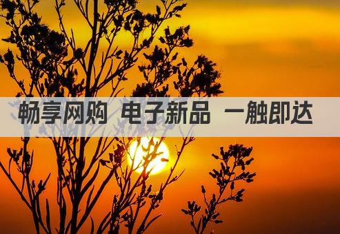 畅享网购 电子新品 一触即达 