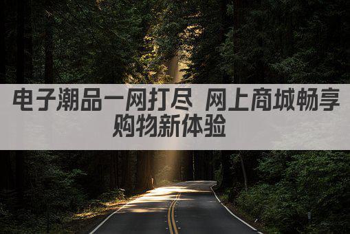 电子潮品一网打尽 网上商城畅享购物新体验 