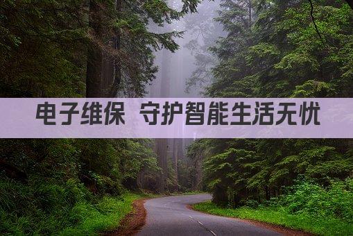电子维保 守护智能生活无忧