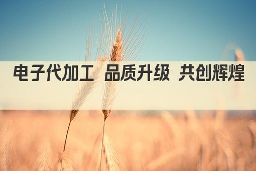 电子代加工 品质升级 共创辉煌 