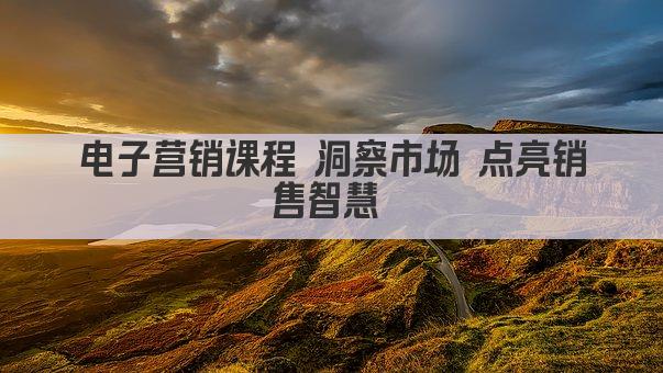 电子营销课程 洞察市场 点亮销售智慧 