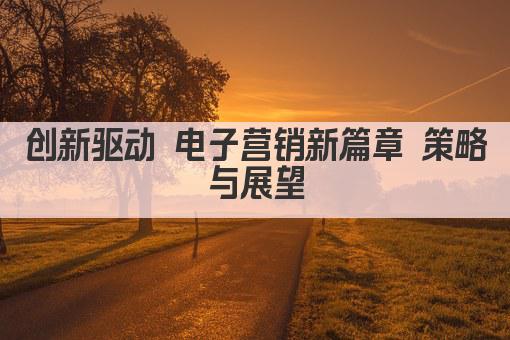 创新驱动 电子营销新篇章 策略与展望