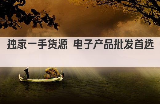 独家一手货源 电子产品批发首选 